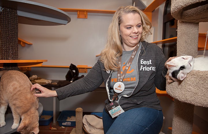 Volunteer Heather Ramsey petting some cats in Los Angeles