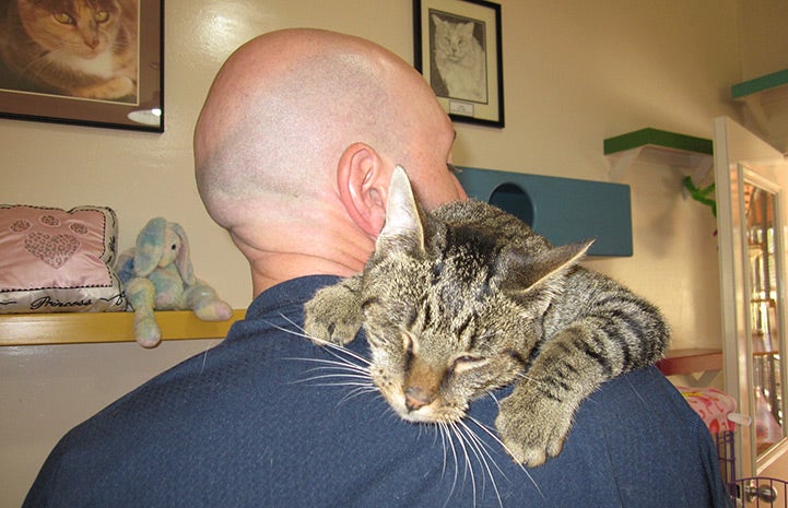 Volunteer Howard Haber with Belinda the cat