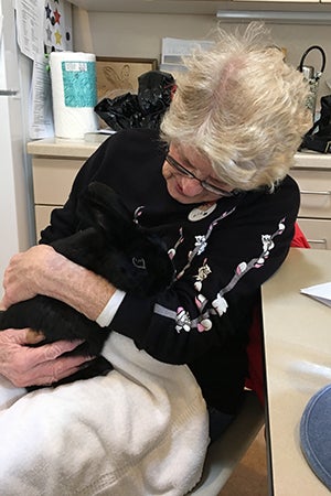 Lillian Lamb volunteering at Bunny House