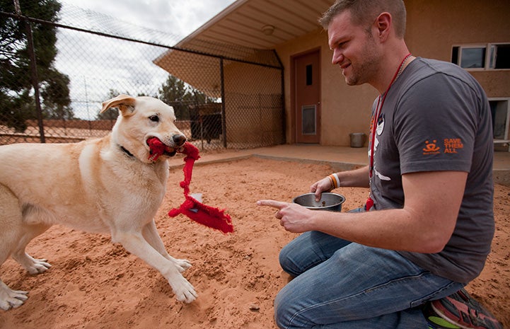 Come on, come on. Throw it again!