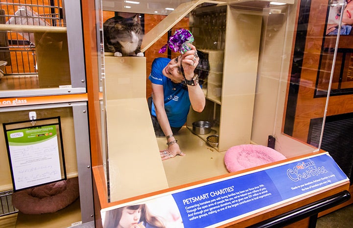 Stephanie Etherton playing with Bunny at PetSmart