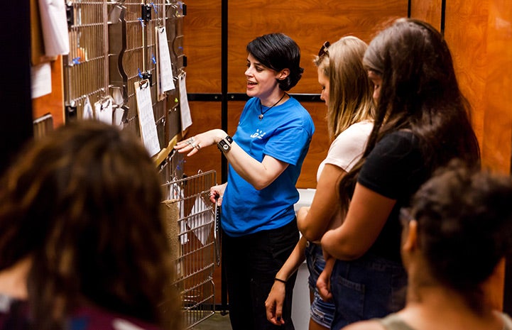 Stephanie Etherton giving kitty care team training at the PetSmart in Harlem