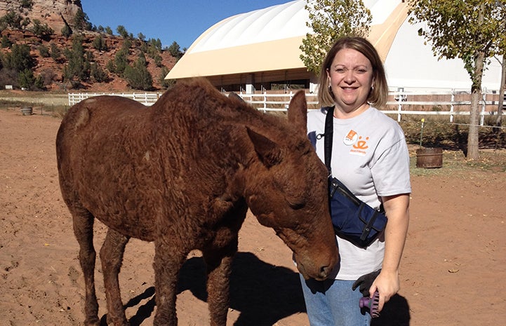 Volunteer Tracey Lacka volunteering at Horse Haven