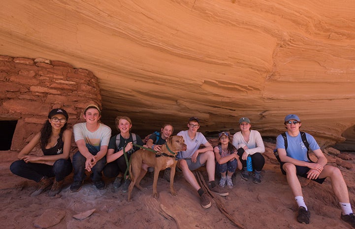 The Concord Academy students on an outing with a dog