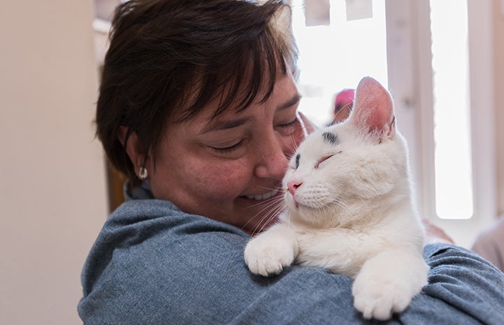 Cookie the cat and his new person