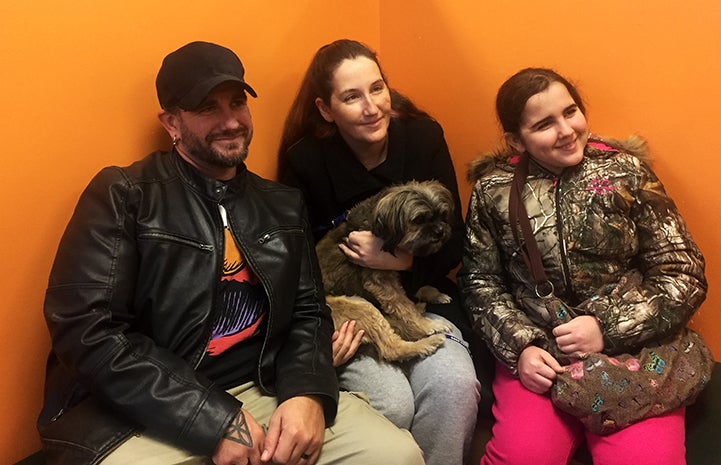 Magoo the shih tzu mix was adopted