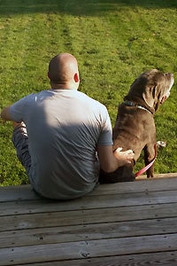 Beast the senior mastiff with his new dad