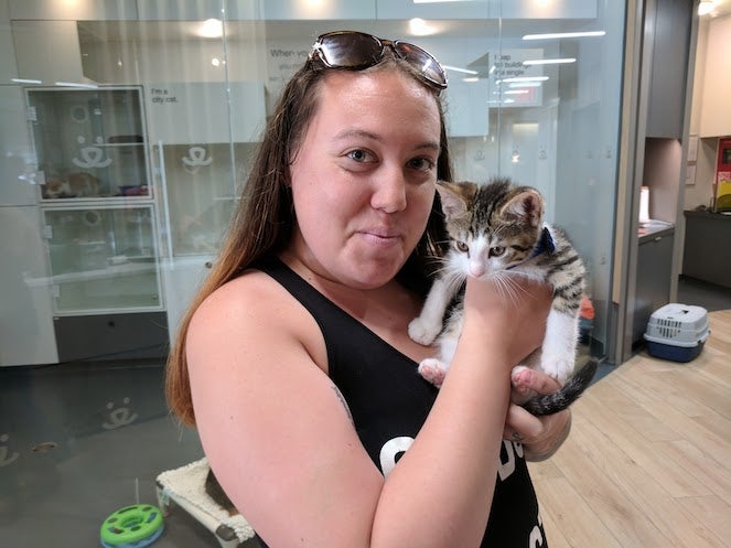 Woman holding a kitten