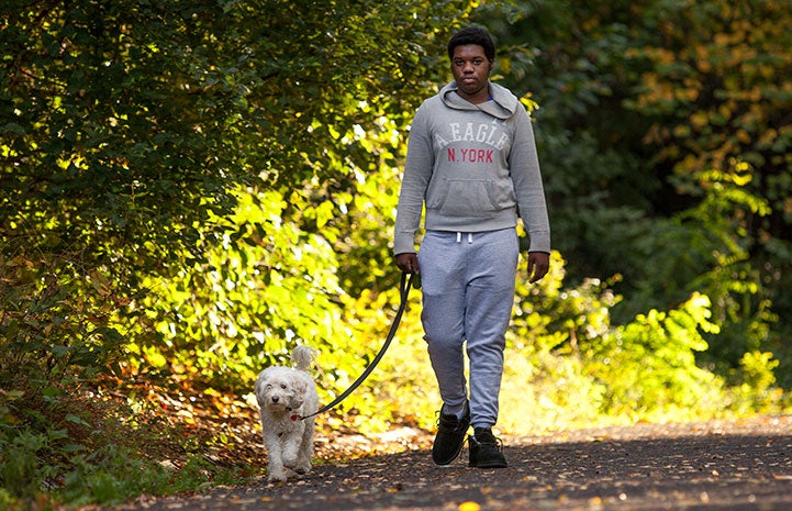 Aidon Lauriano made quick friends with Beanky the poodle mix