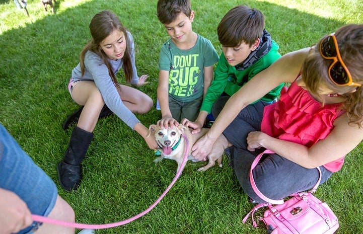 A circle of people including three children all reaching down to pet a small dog