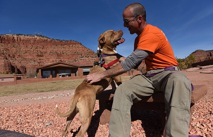 Man at Best Friends sitting on a bench petting a brown pit bull terrier type dog