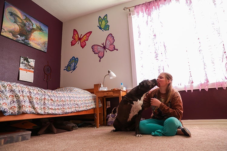 Dog kissing the face of a person in front of a big window, with large butterflies on the wall