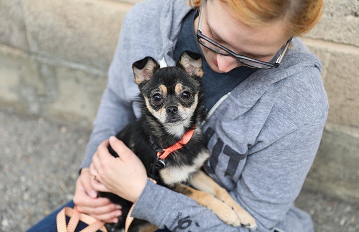 Woman sitting on the ground with a small black and tan dog sitting in her lap looking at the camera