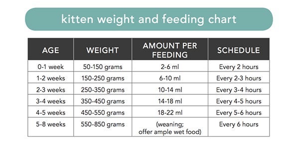 A kitten weight and feeding chart courtesy of the Kitten Lady