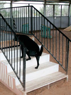 Stairs with backs go up to a walkway with different types of flooring