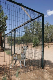 Coyote Roller for the top of a fence