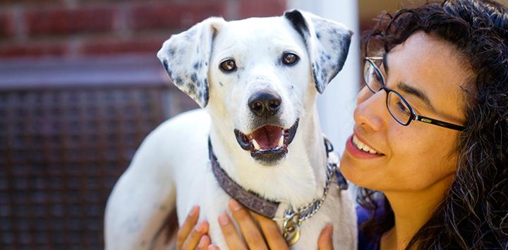 White dog with spotted ears. Spay and neuter is key to controlling the pet population.