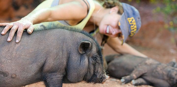 a person with their hand on their pet potbellied pig