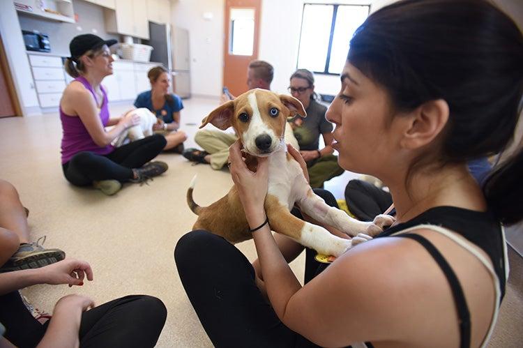 Woman holding a puppy with two different colored eyes on her lap surrounded by other people sitting on the floor