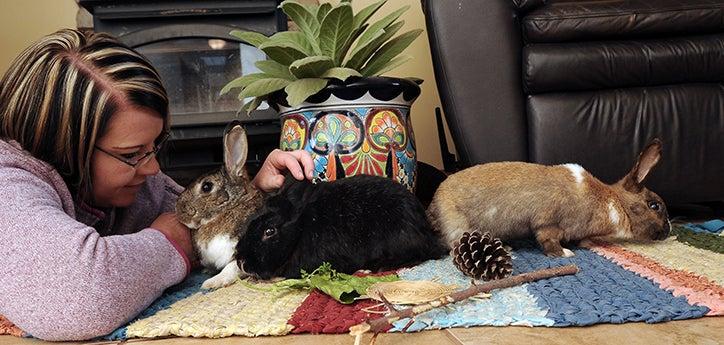 Woman petting three rabbits playing on a rug in her bunny-proofed home