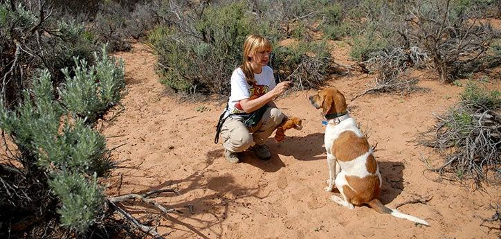 person teaching a dog how to sit outdoors