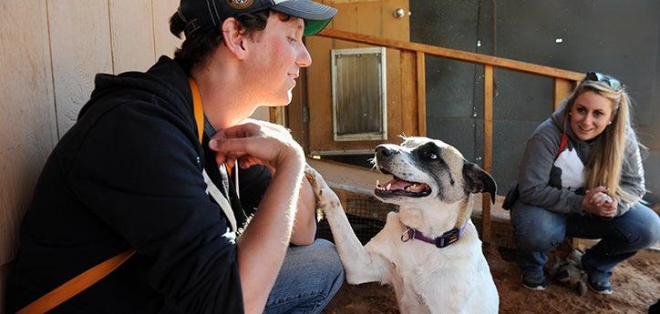 dog holding paw out to woman