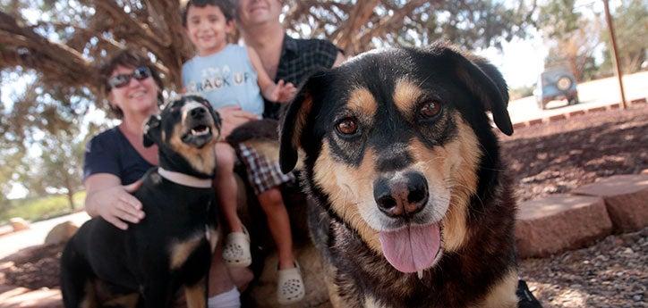 family gathered outside with two black-and-tan dogs