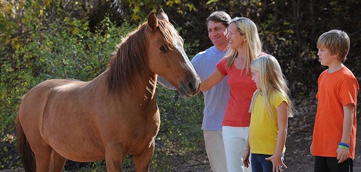 family standing next to a brown horse 