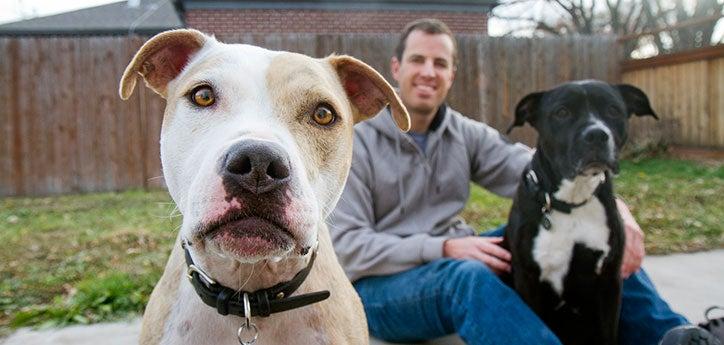 Helping pitbulls like these two friendly dogs is key to achieving no-kill.