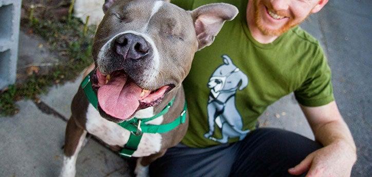 Gray-and-white blind dog and his person