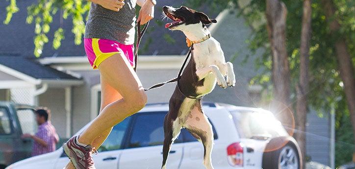 person jogging with their dog, one of the many fun things to do with your dog