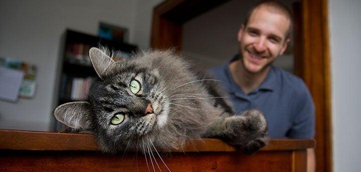 Man with his longhair gray tabby foster cat