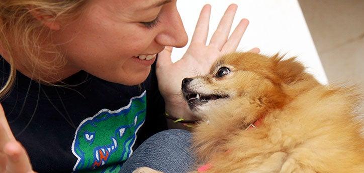 Woman and Pomeranian, a dog she&#039;s working on potty training (aka house-training)