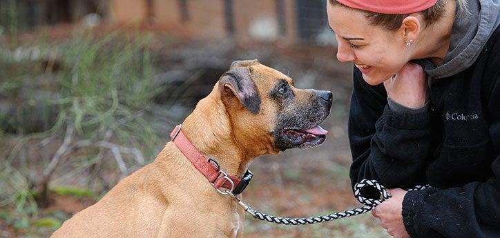 Woman making promises to her dog, the most important of which is to love him