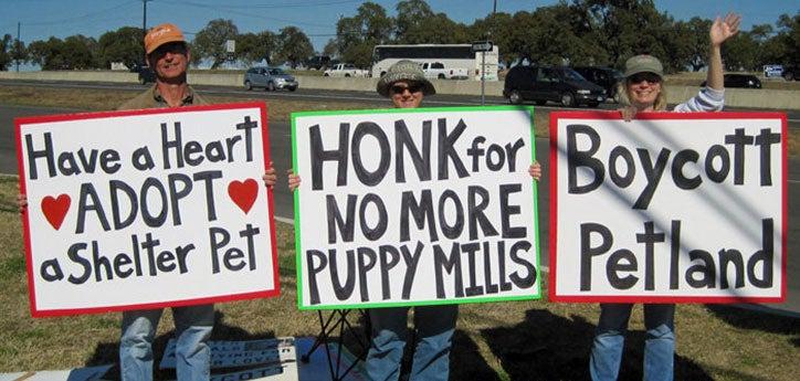 Peaceful protest at a pet store, with people holding signs to adopt a pet and stop puppy mills