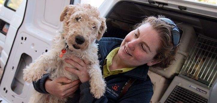 Dog rescued from a puppy mill