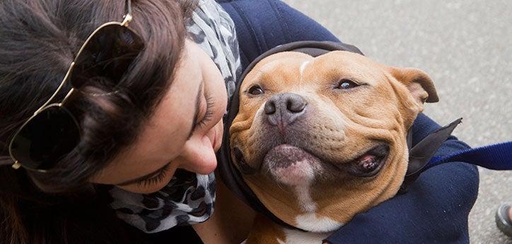 person cuddling with smiling dog