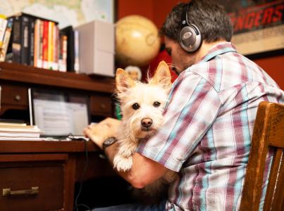 Person working on a computer in a home with a dog on their lap