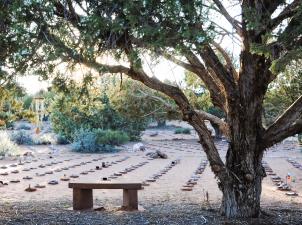 View of Angels Rest with bench under tree