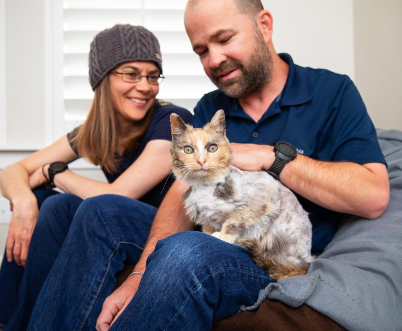 Two happy people sitting with a cat on a couch in a home