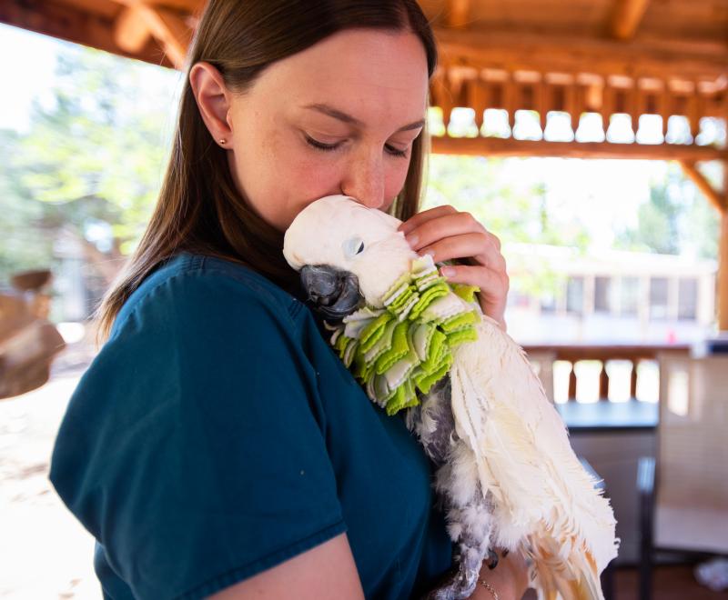 Person holding a content bird