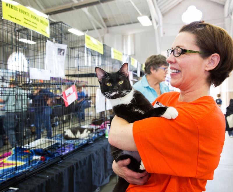 Smiling person wearing a Best Friends volunteer T-shirt holding a black and white cat at an adoption event