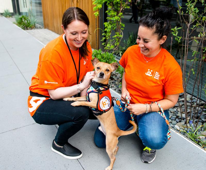 Two people wearing orange Best Friends T-shirts outside on a walk with a small dog