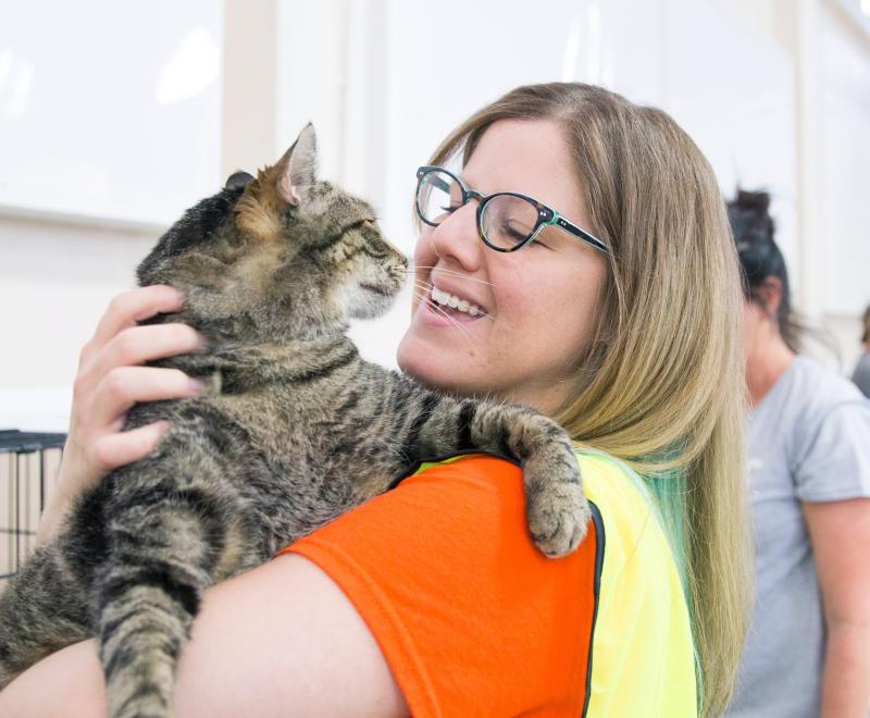 Person wearing Best Friends orange T-shirt holding a brown tabby cat at an adoption event