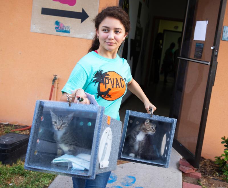 Person holding two boxes containing community cats ready to release