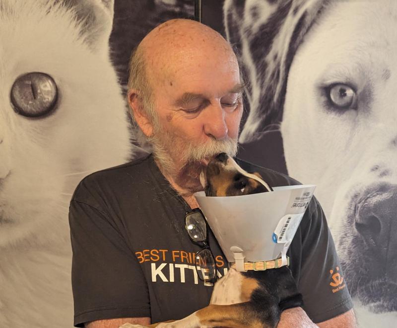 Volunteer Steve Pack holding a puppy wearing a protective cone