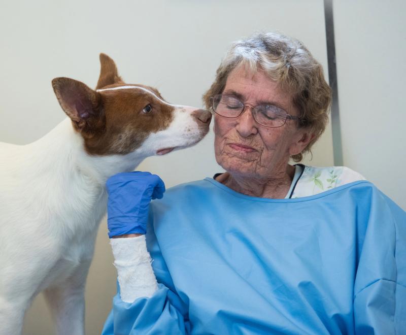 Dog sniffing the side of volunteer Betty Grieb's face