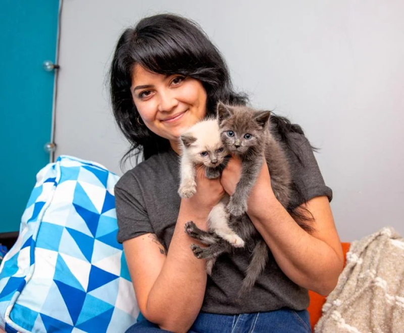 Kittens being held