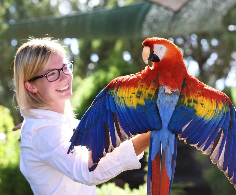 Smiling person with a parrot sitting on their hand