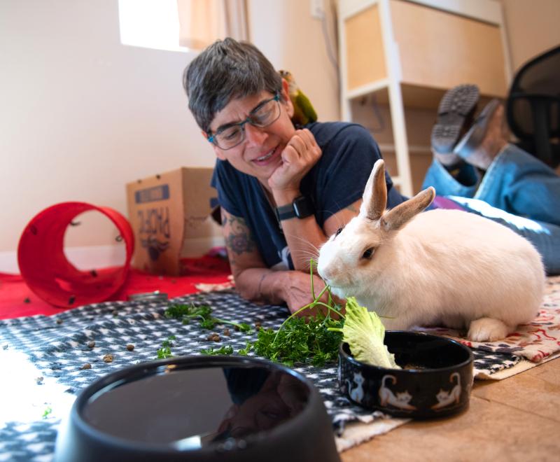 Person taking care of a bunny